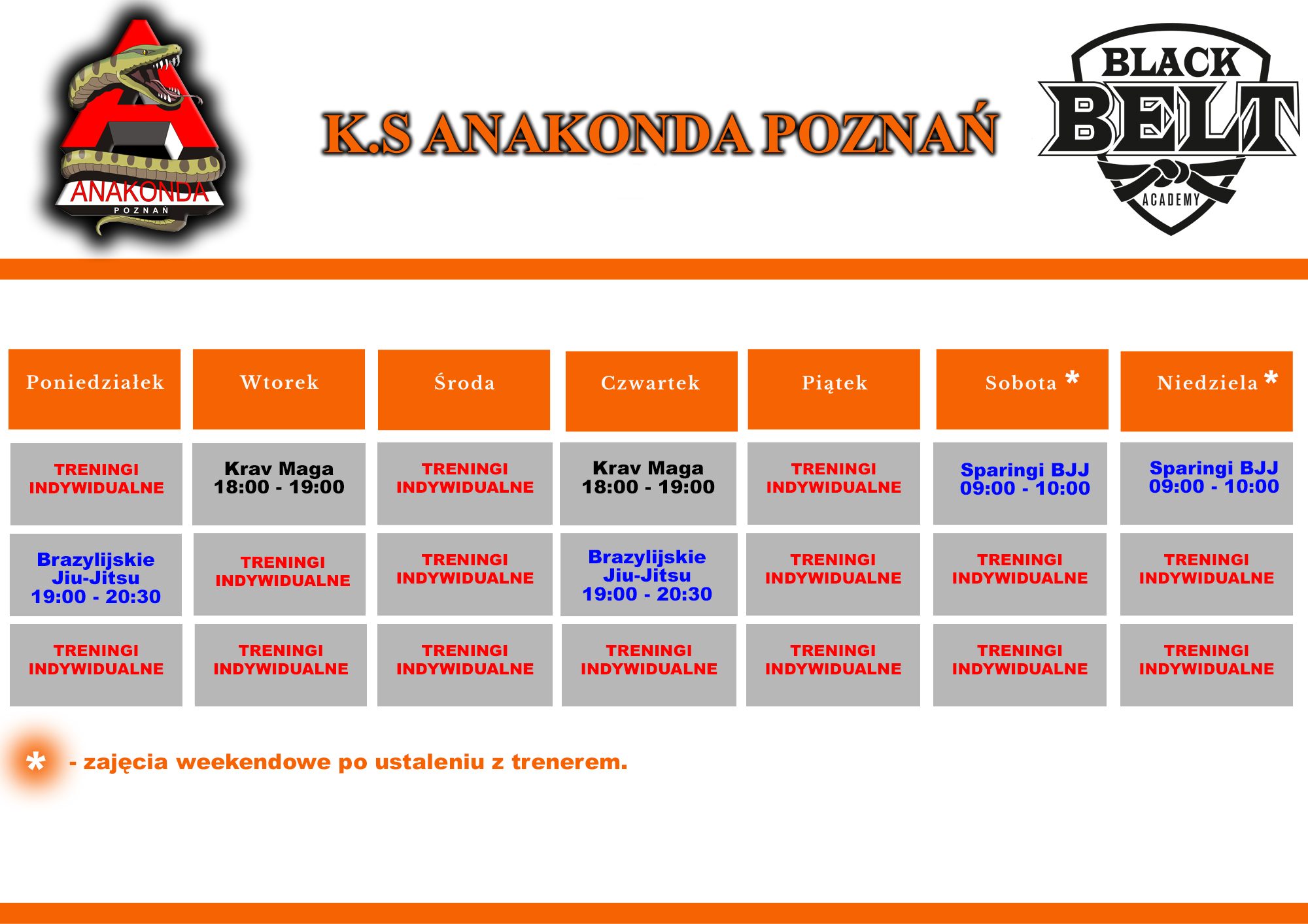 KKS-ANAKONDA-POZNAN-Plan-zajec-2.1 harmonogram treningów anakonda